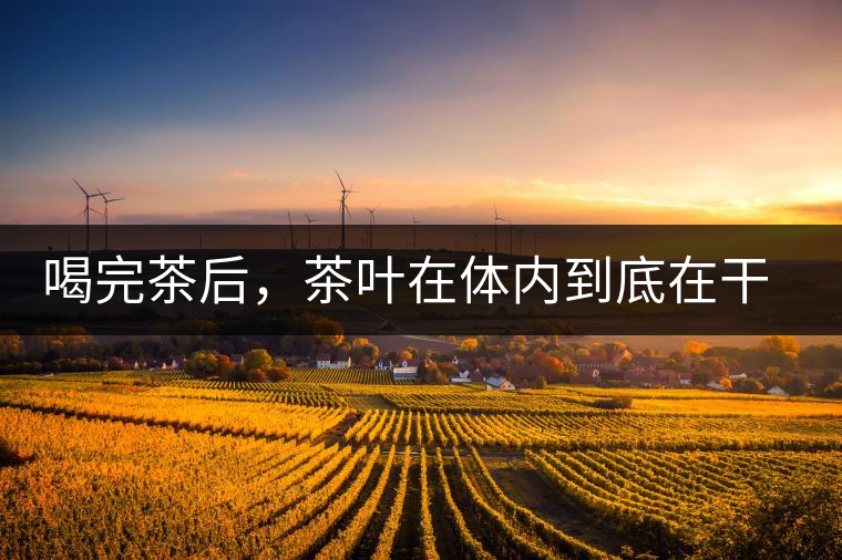 喝完茶后，茶葉在體內(nèi)到底在干嘛，游走的茶水