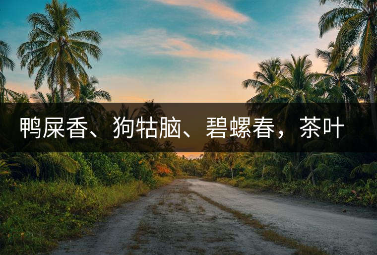 鴨屎香、狗牯腦、碧螺春，茶葉到底是如何被命名的
