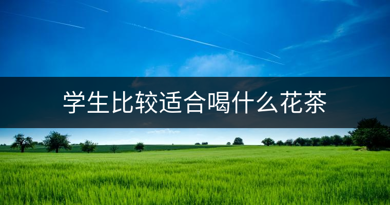 學生比較適合喝什么花茶
