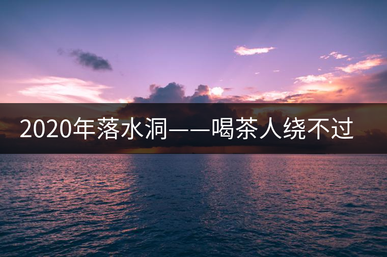 2020年落水洞——喝茶人繞不過(guò)的溫柔鄉(xiāng)！-易武中聘號(hào)