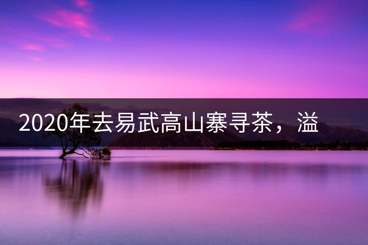 2020年去易武高山寨尋茶，溢滿茶香的古樹寨子-易武中聘號