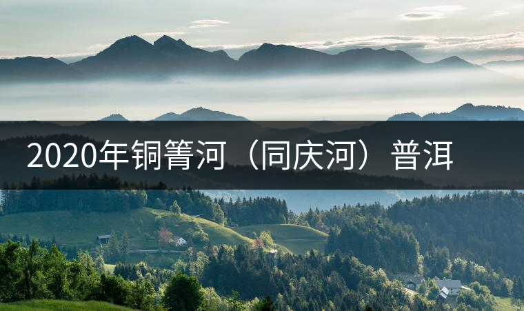 2020年銅箐河（同慶河）普洱茶，野味真難尋！-易武中聘號(hào)