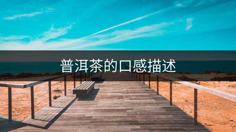 普洱茶的口感描述