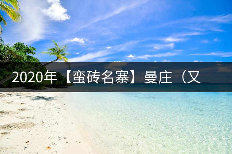 2020年【蠻磚名寨】曼莊（又作：蠻磚、曼磚）-易武中聘號