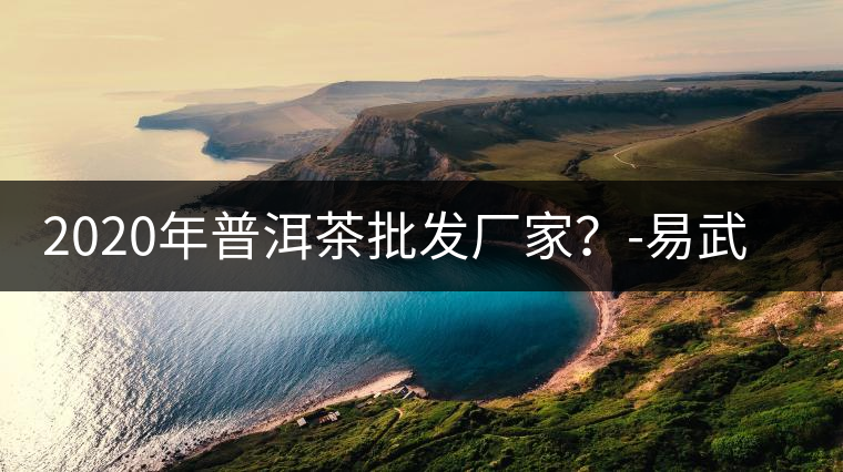 2020年普洱茶批發(fā)廠家？-易武中聘號(hào)