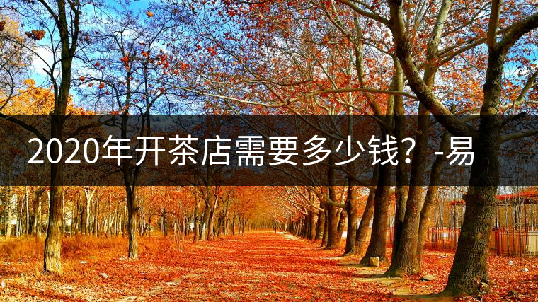 2020年開茶店需要多少錢？-易武中聘號