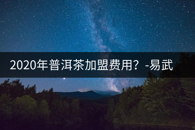 2020年普洱茶加盟費(fèi)用？-易武中聘號(hào)