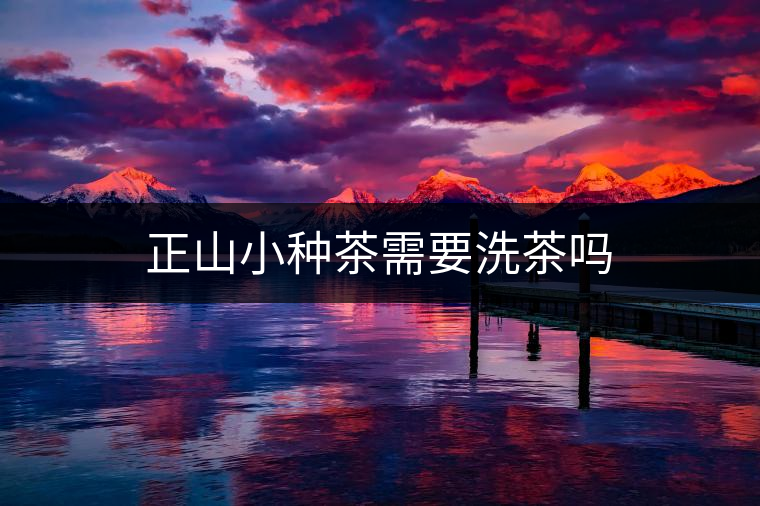 正山小種茶需要洗茶嗎