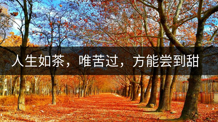 人生如茶，唯苦過(guò)，方能?chē)L到甜滋味