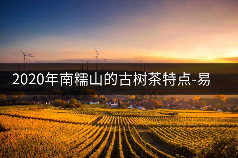 2020年南糯山的古樹茶特點-易武中聘號