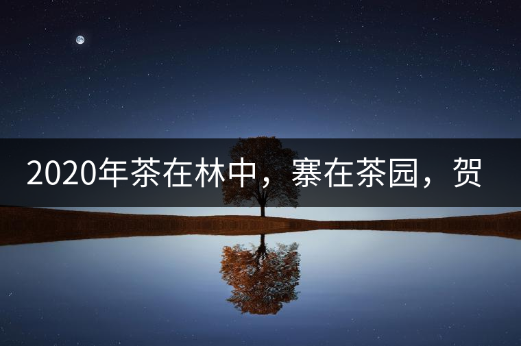2020年茶在林中，寨在茶園，賀開古樹茶-易武中聘號