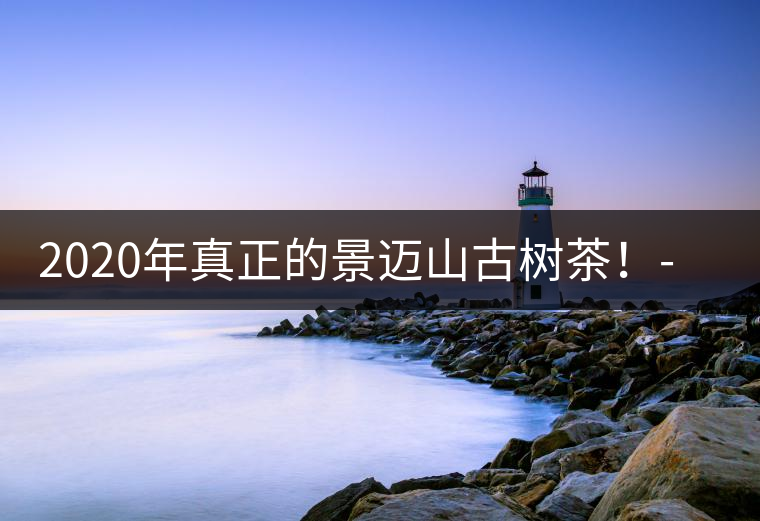 2020年真正的景邁山古樹茶！-易武中聘號