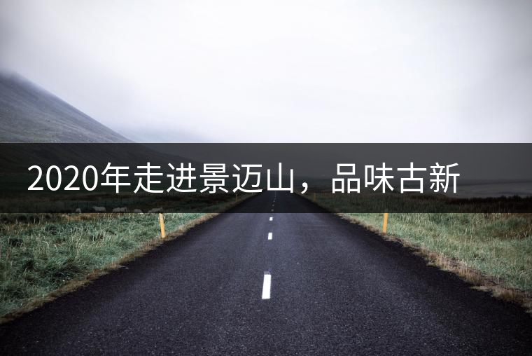 2020年走進(jìn)景邁山，品味古新六大茶山古樹(shù)茶之韻-易武中聘號(hào)