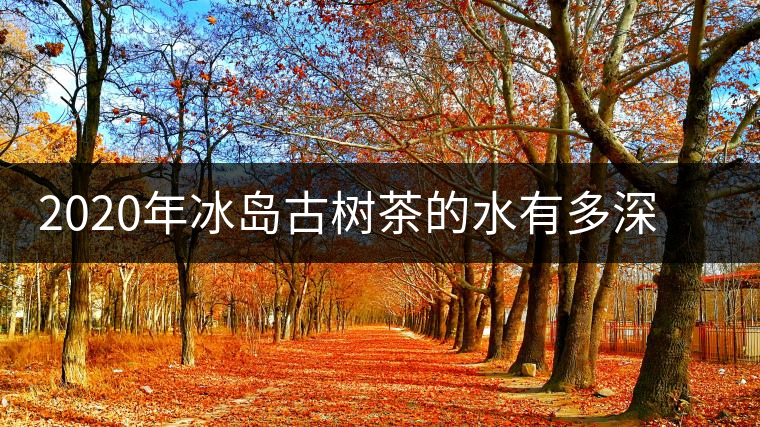 2020年冰島古樹茶的水有多深？別被蒙在鼓里啦-易武中聘號