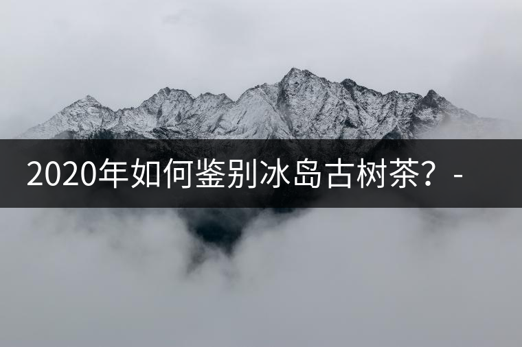 2020年如何鑒別冰島古樹茶？-易武中聘號