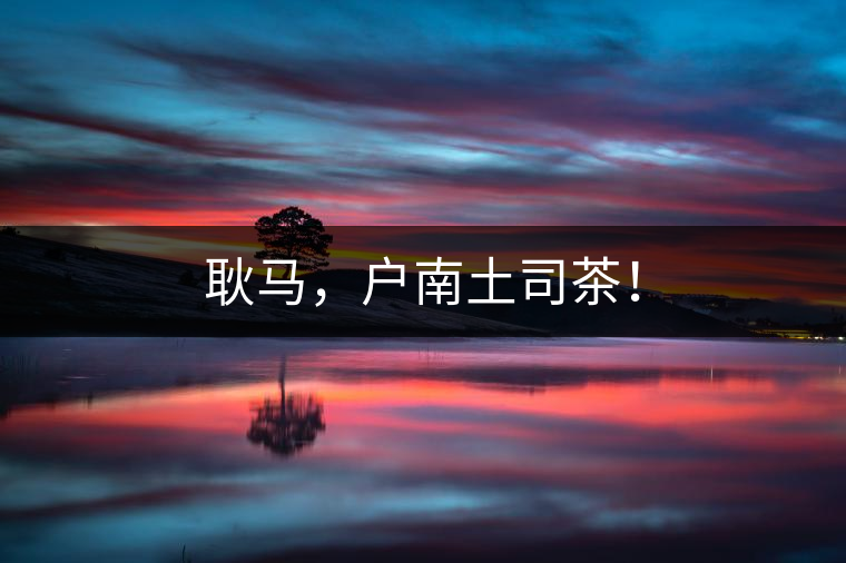 耿馬，戶南土司茶！