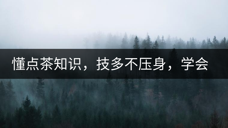 懂點茶知識，技多不壓身，學(xué)會這些秒變茶藝高手