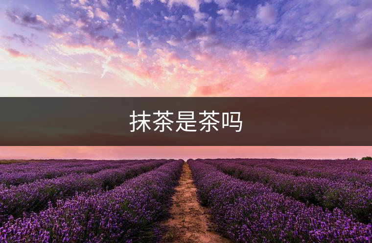 抹茶是茶嗎