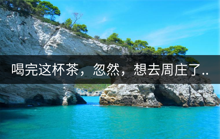 喝完這杯茶，忽然，想去周莊了...