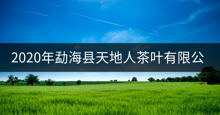 2020年勐?？h天地人茶葉有限公司簡(jiǎn)介