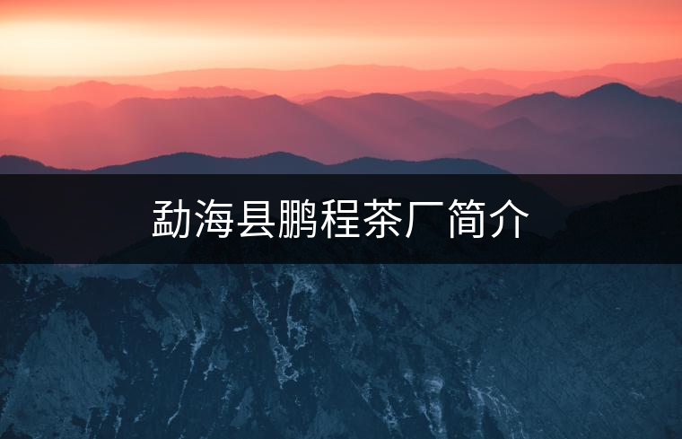 勐?？h鵬程茶廠簡介