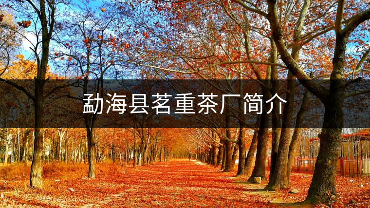 勐?？h茗重茶廠簡介