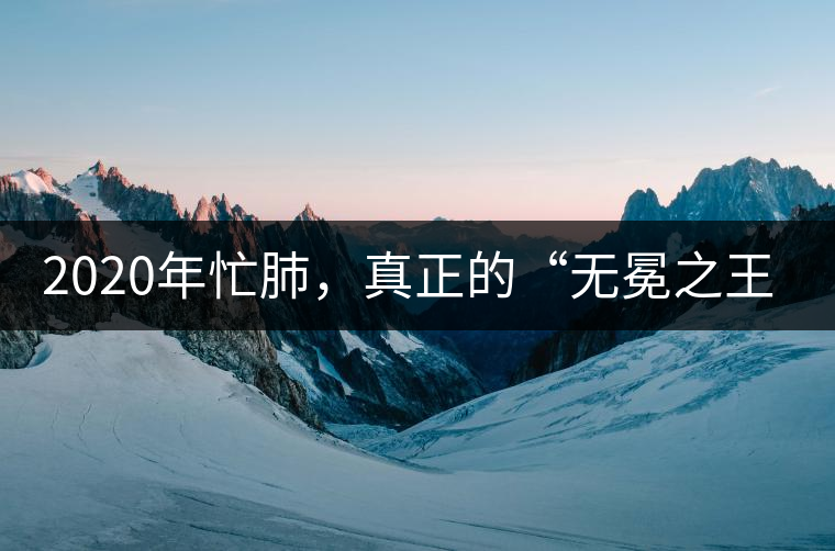 2020年忙肺，真正的“無冕之王”！-易武中聘號(hào)