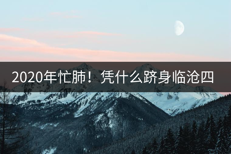 2020年忙肺！憑什么躋身臨滄四大名茶-易武中聘號(hào)