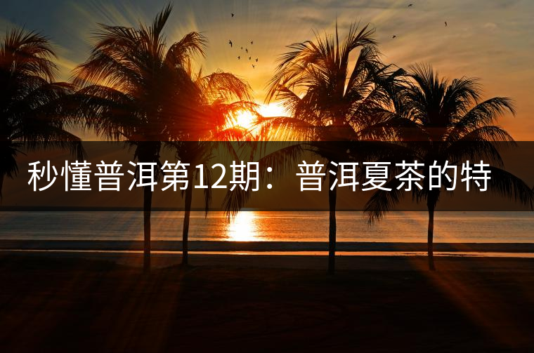 秒懂普洱第12期：普洱夏茶的特點？如何區(qū)別？