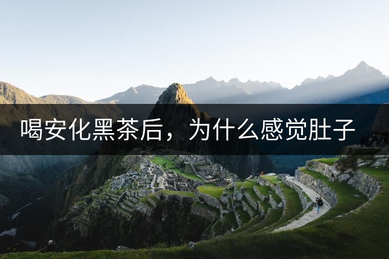 喝安化黑茶后，為什么感覺肚子餓的快？