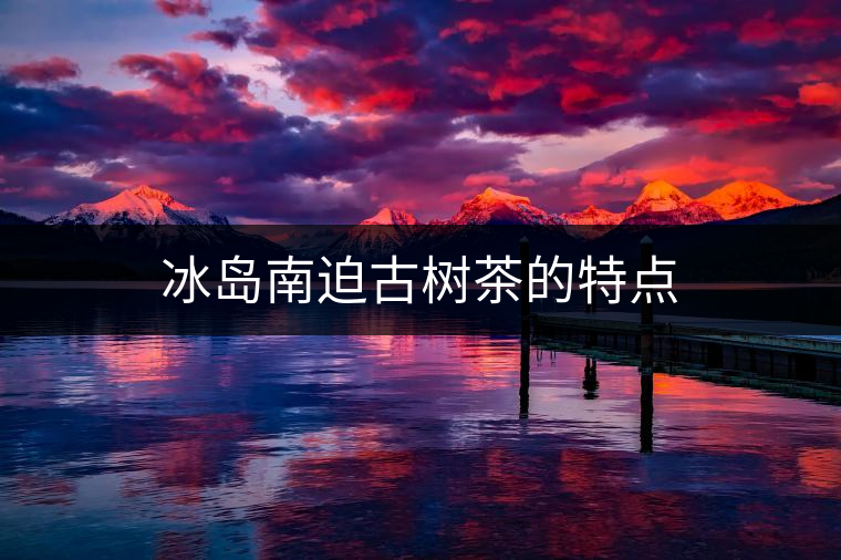 冰島南迫古樹茶的特點