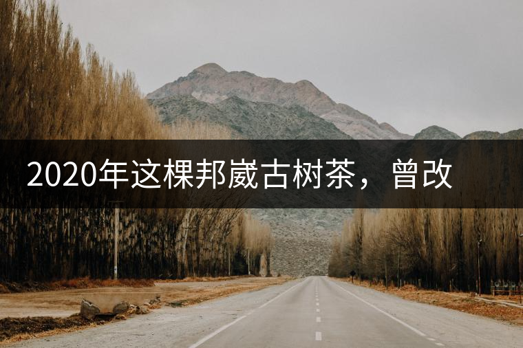 2020年這棵邦崴古樹茶,曾改寫普洱茶歷史!-易武中聘號 2020年這棵邦崴古樹茶,曾改寫普洱茶歷史!-易武中聘號
