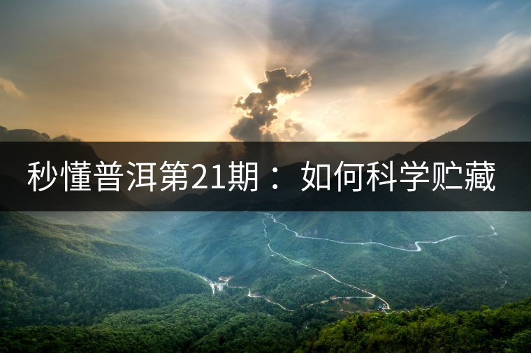秒懂普洱第21期 ：如何科學(xué)貯藏普洱茶？