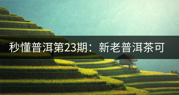 秒懂普洱第23期：新老普洱茶可以放到一起嗎？