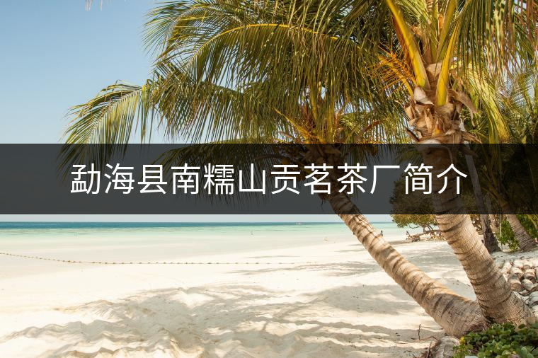 勐海縣南糯山貢茗茶廠簡介