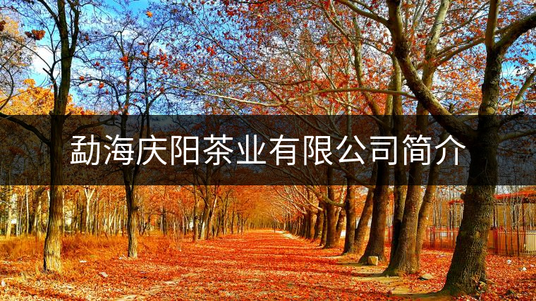 勐海慶陽茶業(yè)有限公司簡(jiǎn)介 勐海慶陽茶業(yè)有限公司簡(jiǎn)介