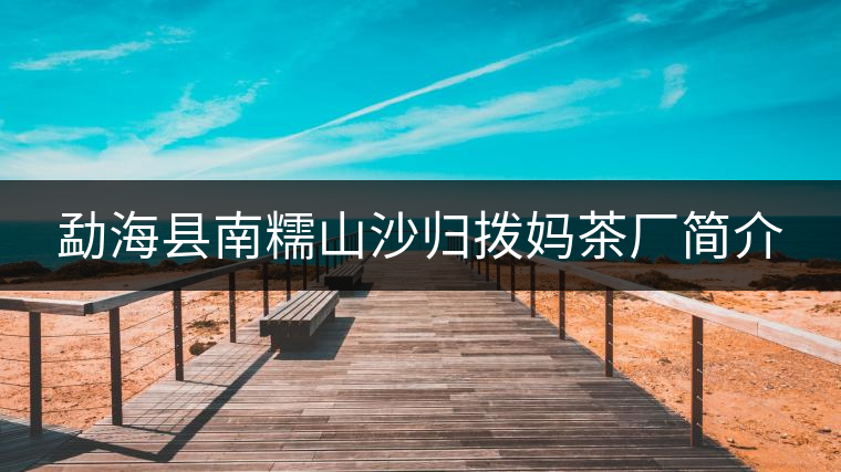 勐?？h南糯山沙歸撥媽茶廠簡介