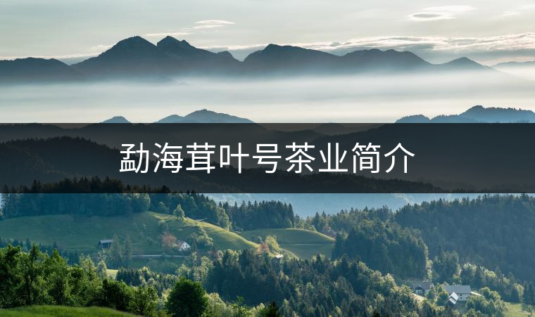 勐海茸葉號(hào)茶業(yè)簡介 勐海茸葉號(hào)茶業(yè)簡介