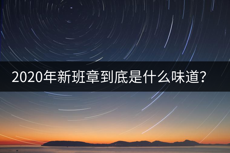 2020年新班章到底是什么味道？-易武中聘號(hào)
