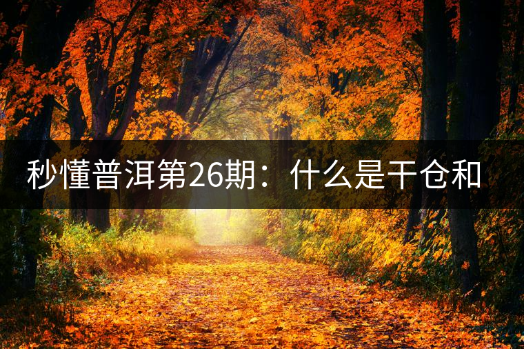 秒懂普洱第26期：什么是干倉和濕倉？