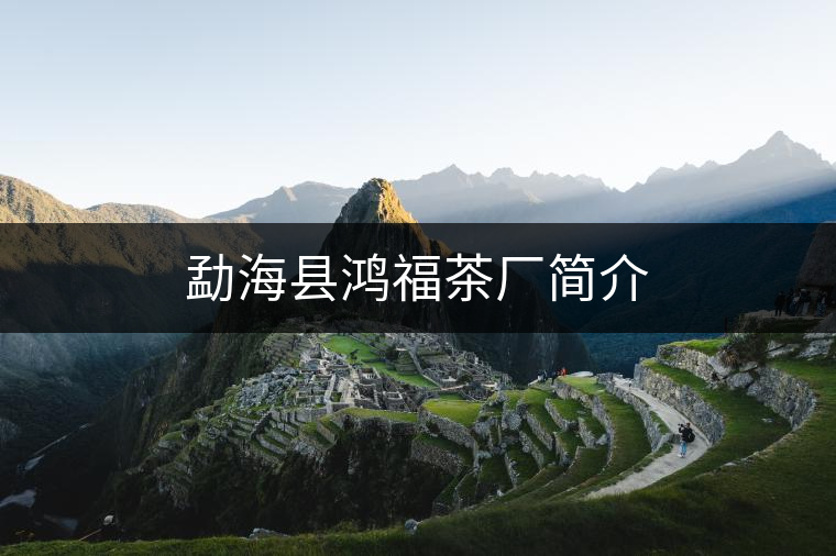 勐?？h鴻福茶廠簡介