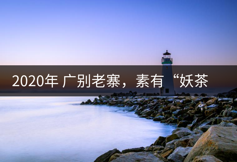 2020年 廣別老寨，素有“妖茶”之稱-易武中聘號