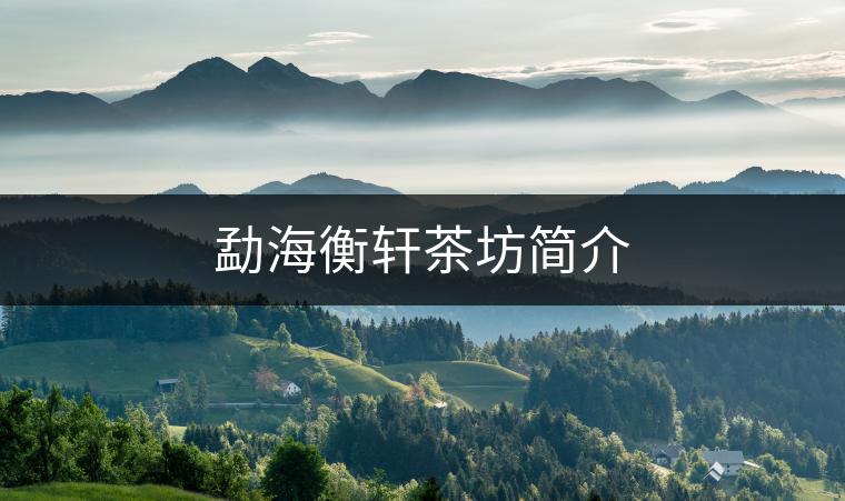 勐海衡軒茶坊簡介 勐海衡軒茶坊簡介