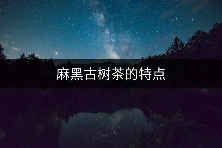 麻黑古樹茶的特點(diǎn)