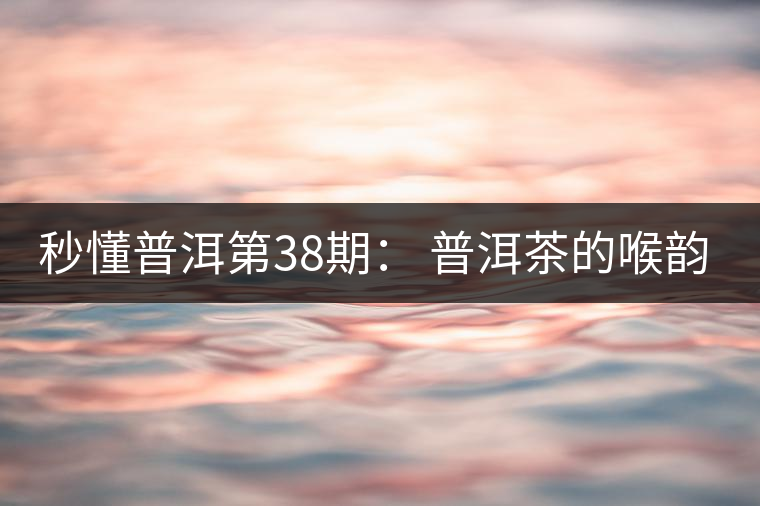 秒懂普洱第38期： 普洱茶的喉韻是什么？