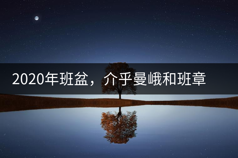 2020年班盆，介乎曼峨和班章間的“老漢子”-易武中聘號(hào)