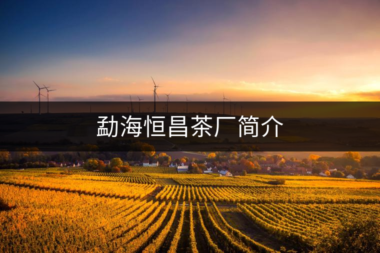 勐海恒昌茶廠簡介