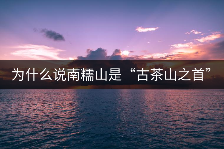 為什么說南糯山是“古茶山之首”？