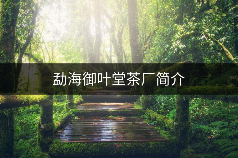 勐海御葉堂茶廠簡(jiǎn)介