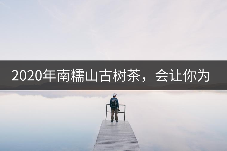 2020年南糯山古樹茶，會讓你為之著迷-易武中聘號